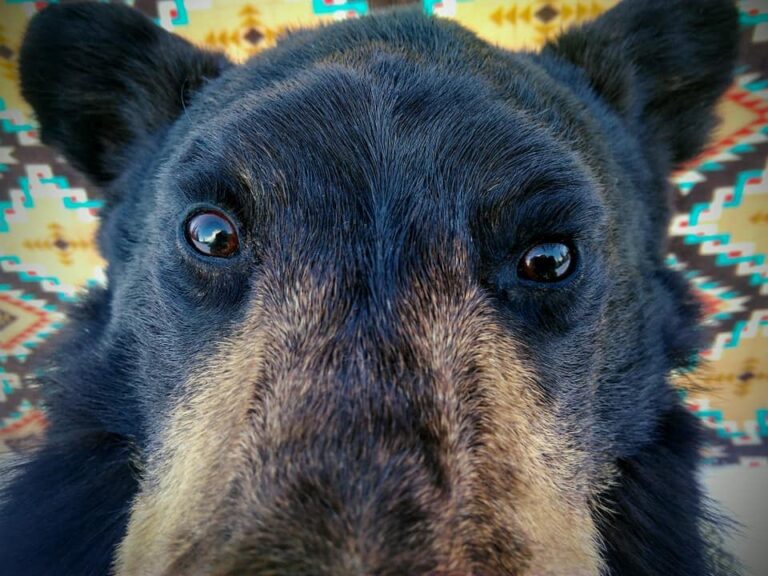 139083468_2785058621753149_8239810231374137168_n-768x576 (1)