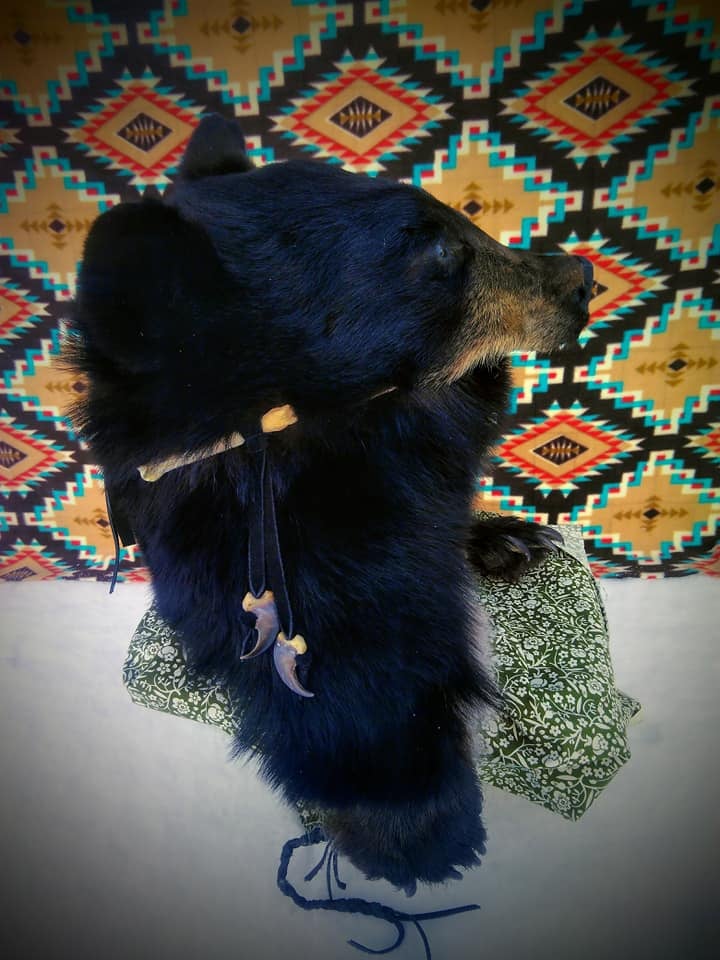 139244671_2785058568419821_9100573517566856639_n (1)