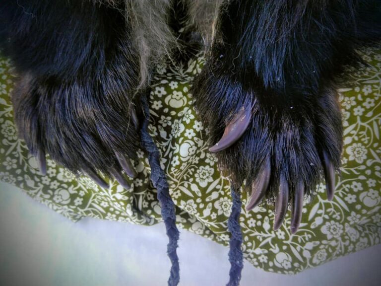 139393017_2785058541753157_8562184656741058129_n-768x576 (1)