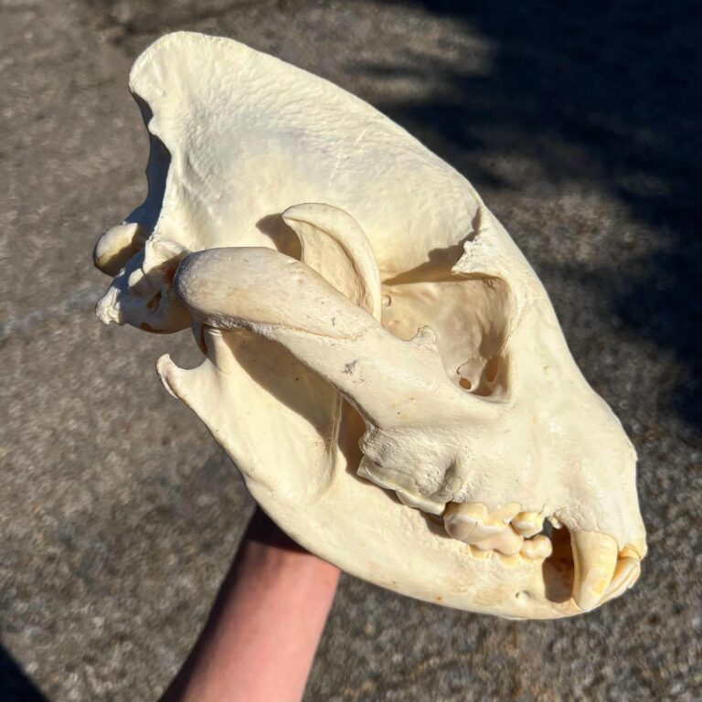 279767334_1964813657052436_2456566820621598921_n-768x768 (1)