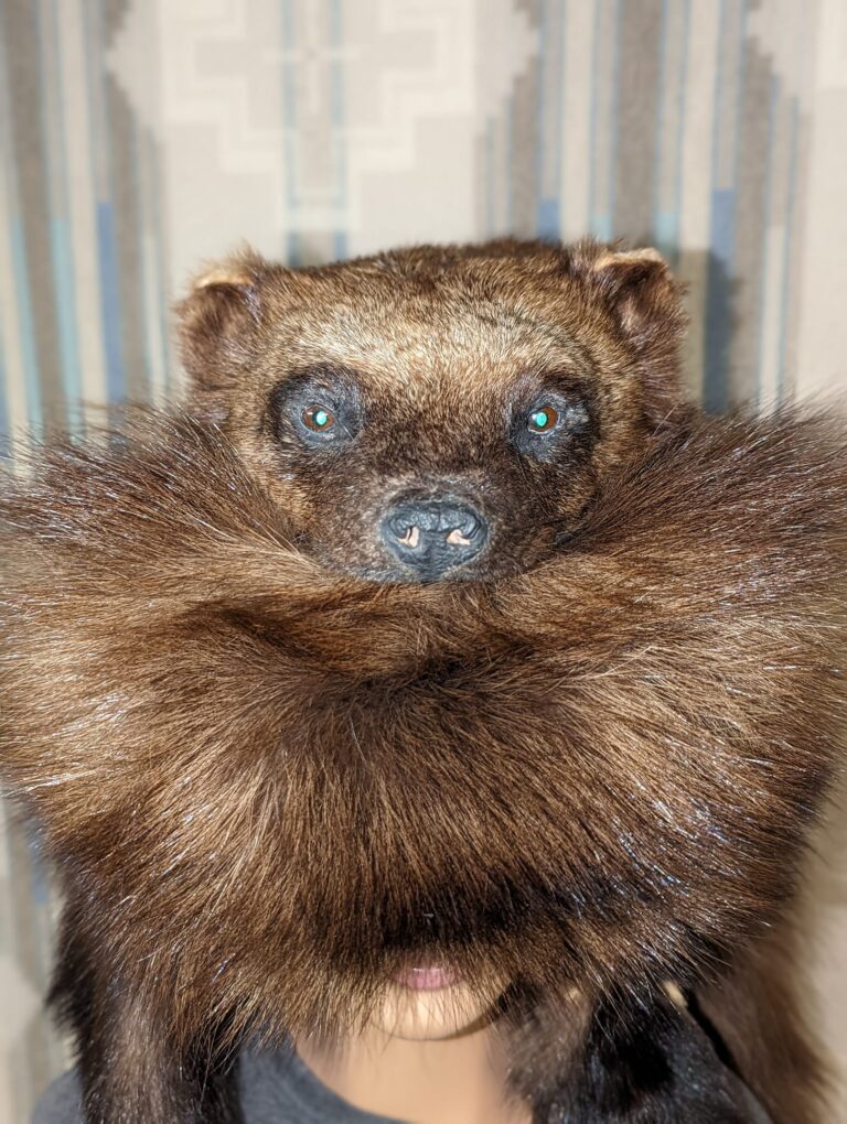 406405940_907476334087179_8426325894243002980_n-1-768x1020 (1)