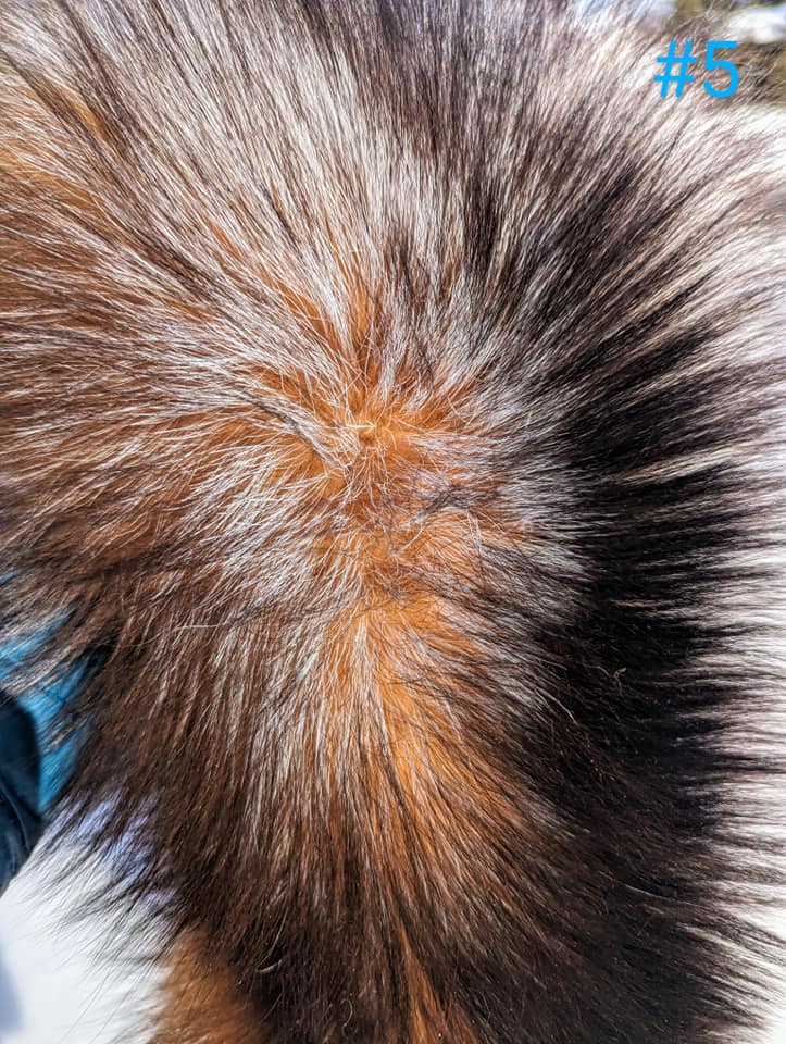 436345077_991650239003121_1924539234987907486_n