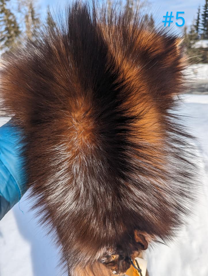 436367520_991650319003113_9164536002981338644_n