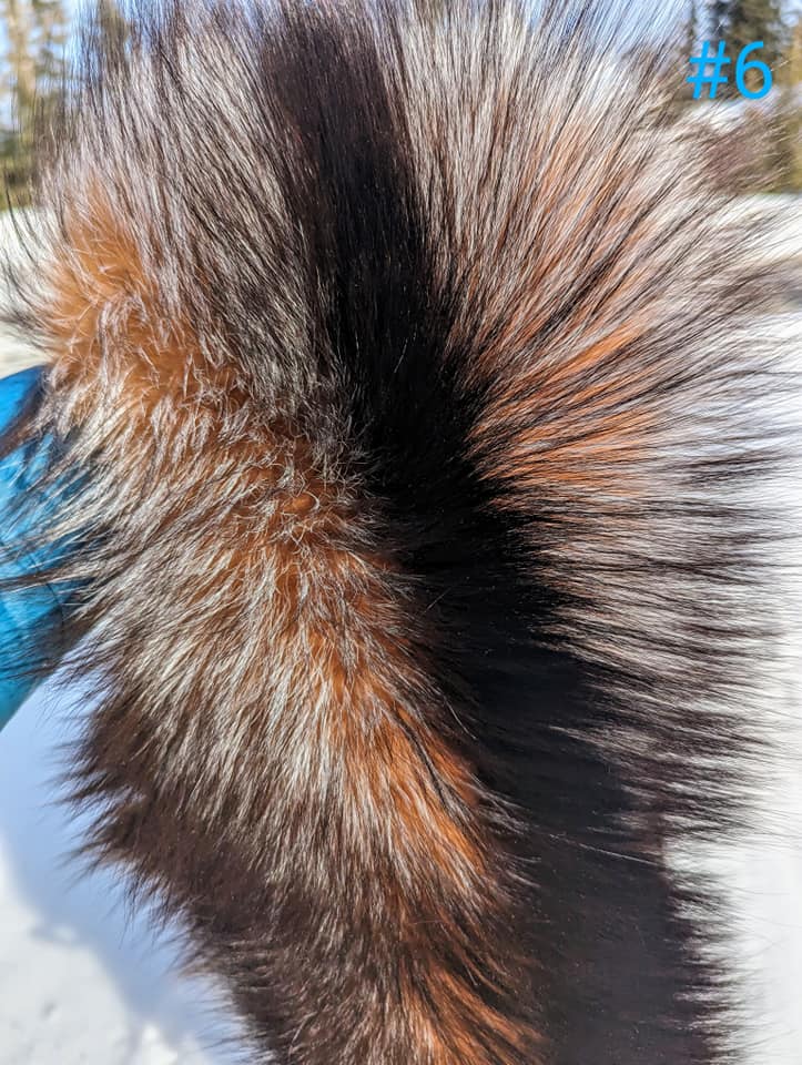 436373223_991650429003102_8448552832404450078_n