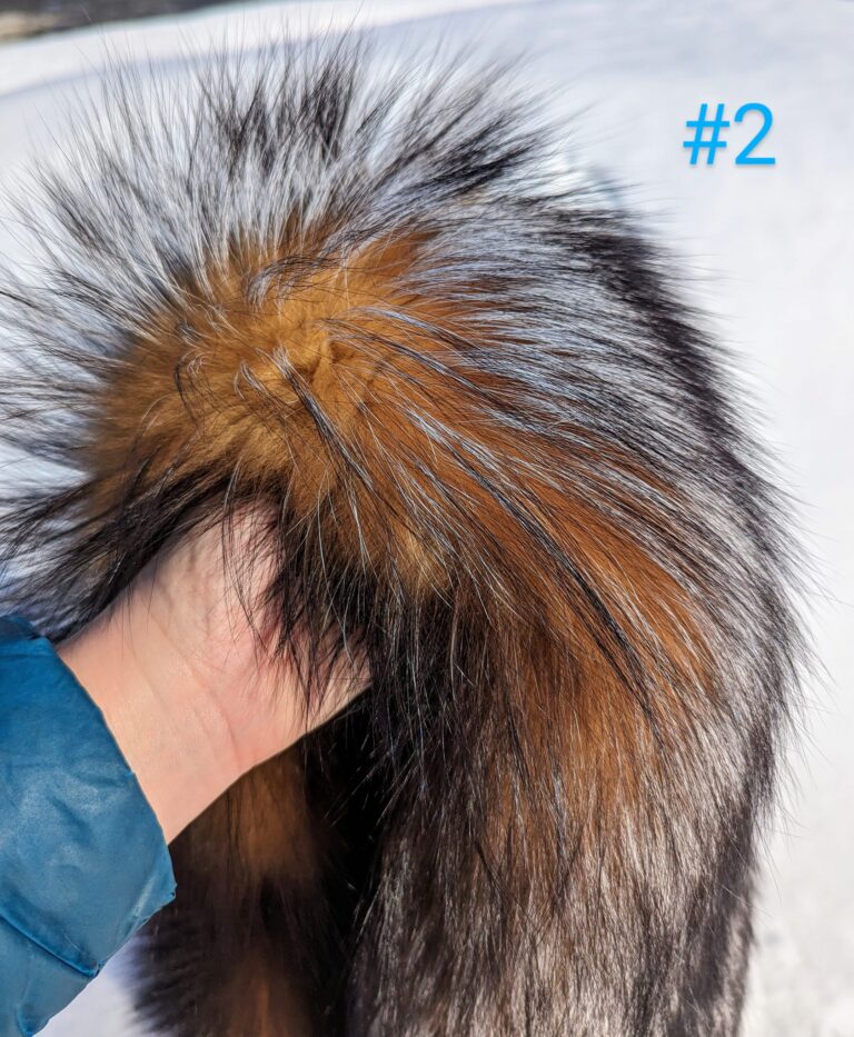 436413793_991651235669688_2267885410148837440_n-768x933