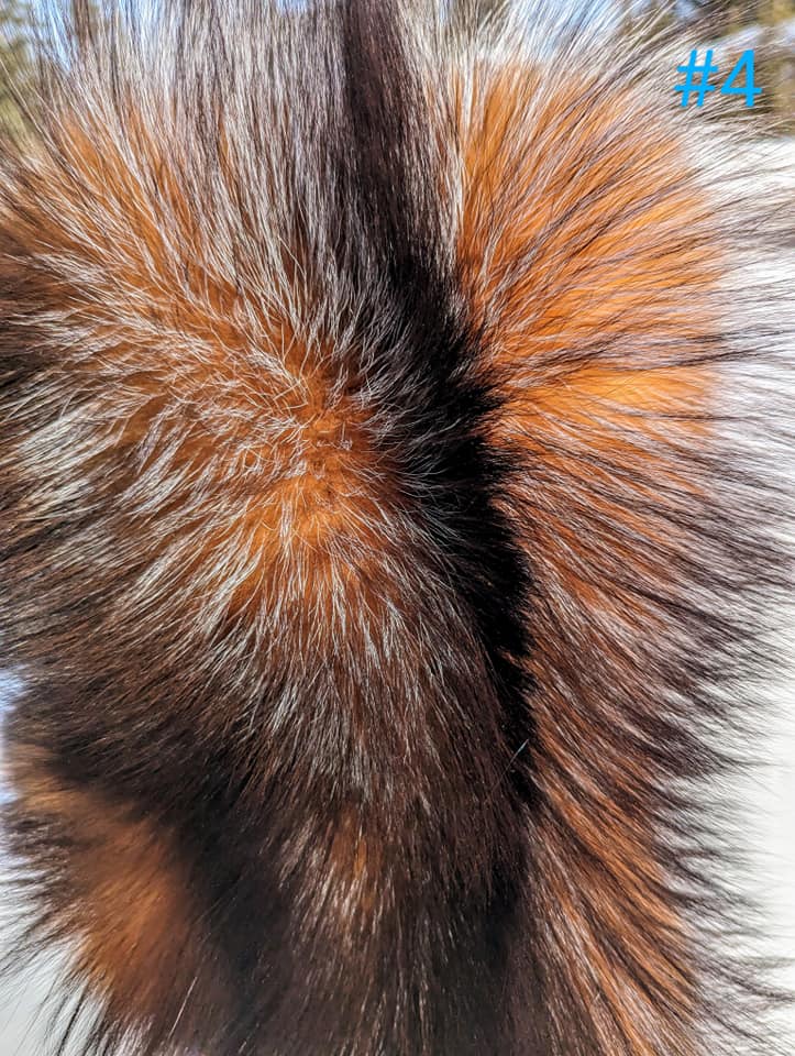 436424328_991650179003127_6015646878899823928_n