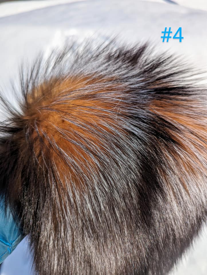 436424375_991650149003130_1037312903536927347_n