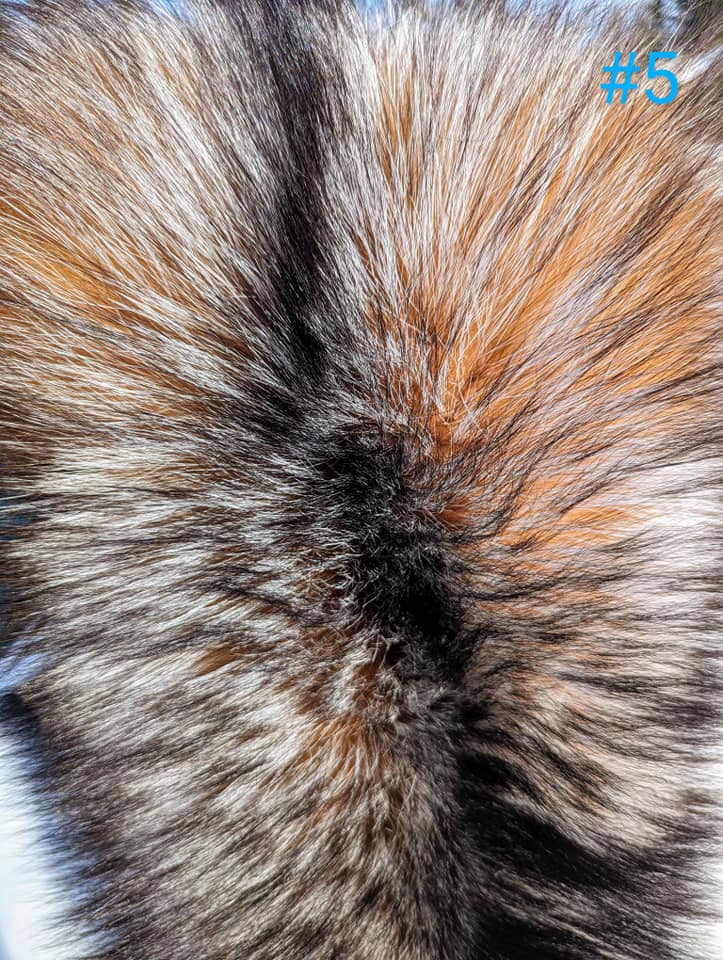 436442738_991650282336450_6135736416262495645_n