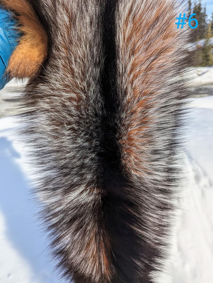 436640698_991650392336439_6722189855719561340_n