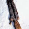 Fox Fur