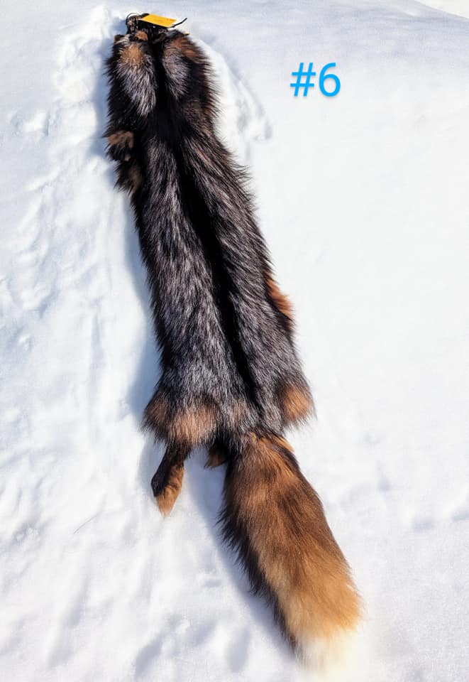 436772128_991650355669776_3000624980577223277_n Fox Fur