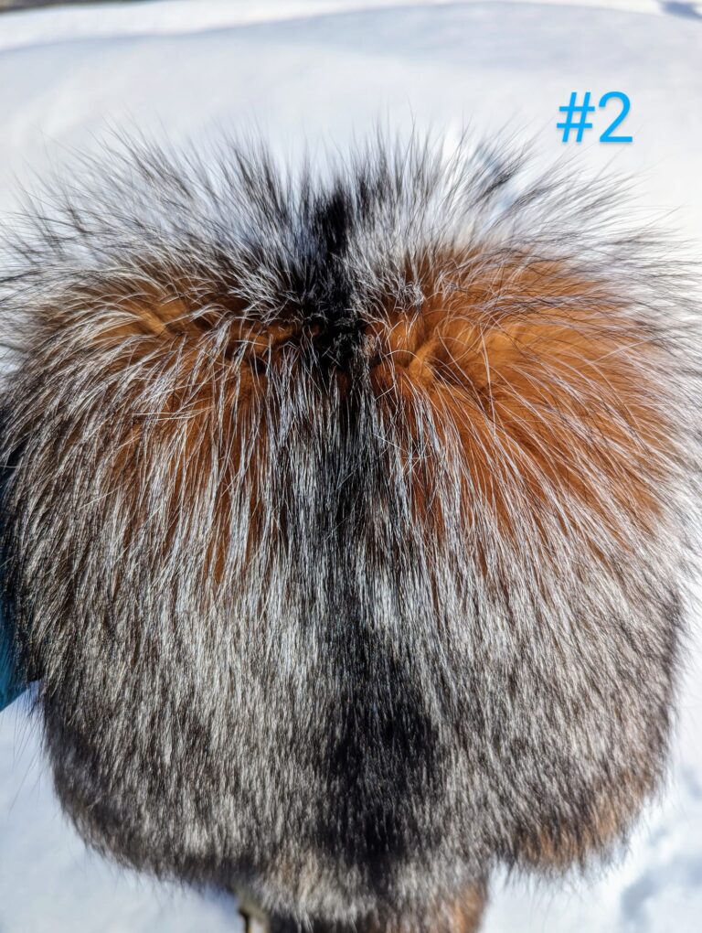 437028287_991651109003034_2598526200916196786_n-768x1020