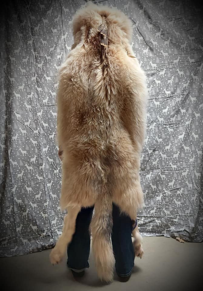 470165579_1167768438057966_561209895812590430_n (1)