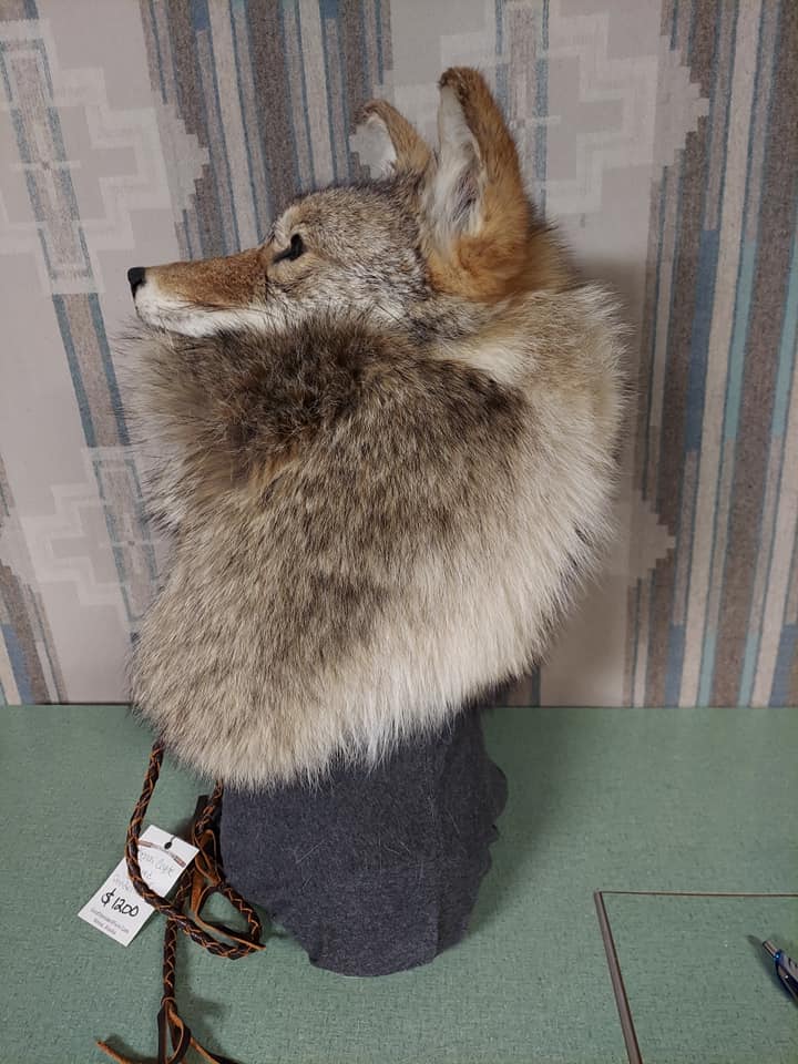 470214809_1168584191309724_7350589513283995500_n (1)