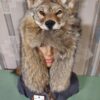 Coyote Head Hat