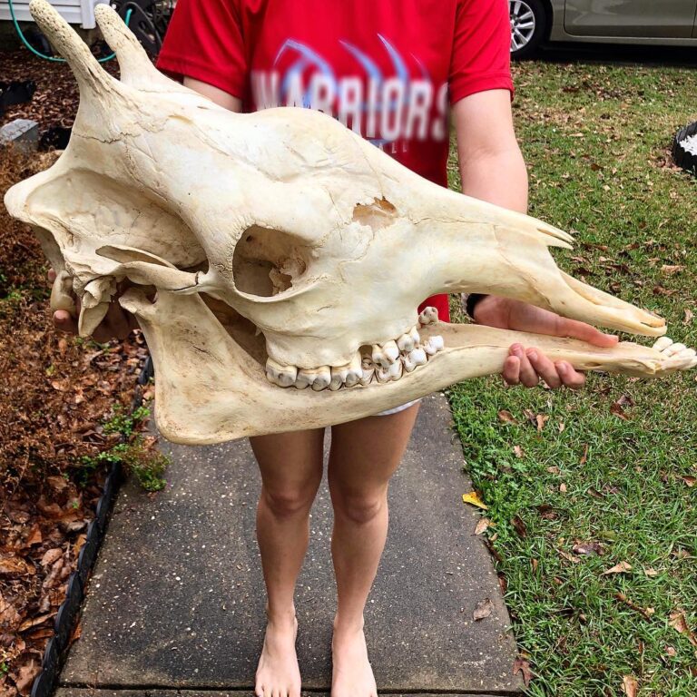 53250642_1042949335905544_8568177374305189888_n-768x768 (1)