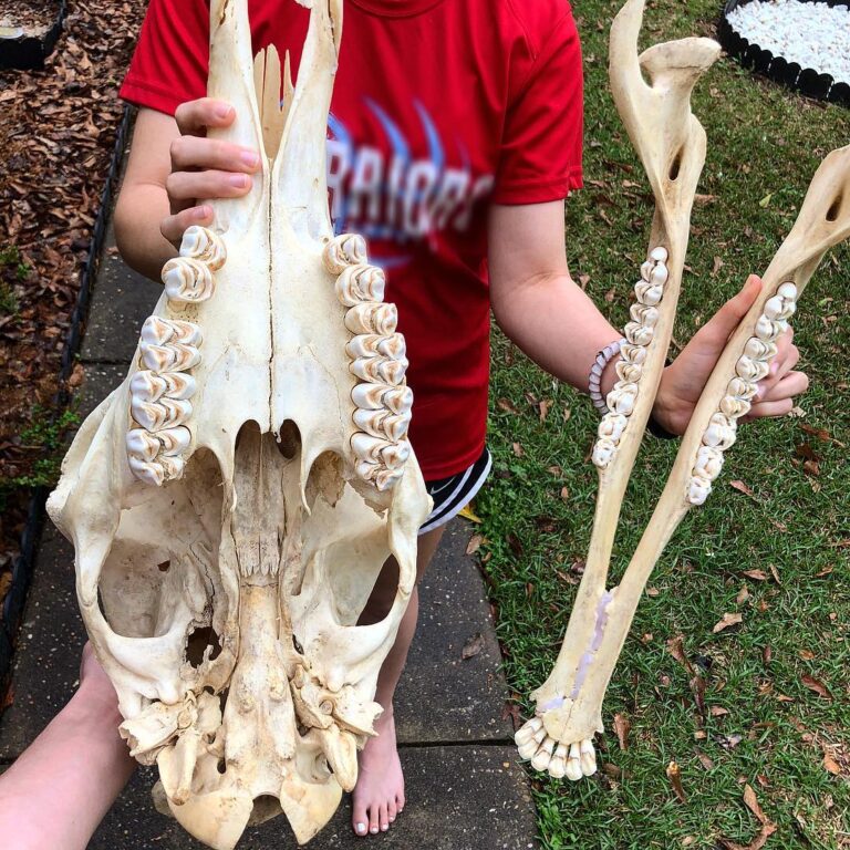 53671991_1042949435905534_9103478630377324544_n-768x768 (1)