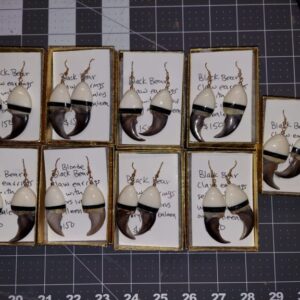 Alaskan Black Bear Claws